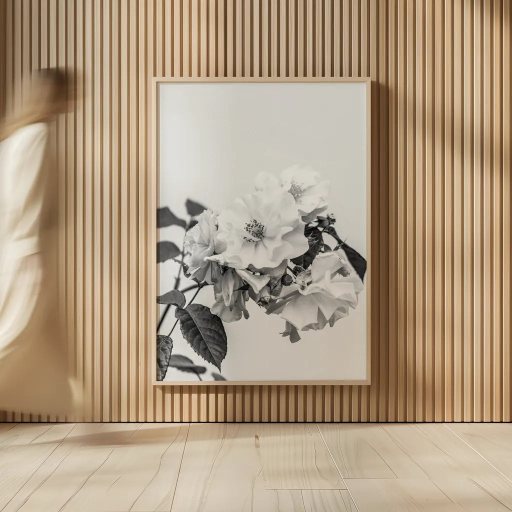 White Rose III BW by Deborah Revell. shown as over sized large wall art. Available as an archival giclee rolled canvas, fine art paper, or poster print. SKU 92614h.