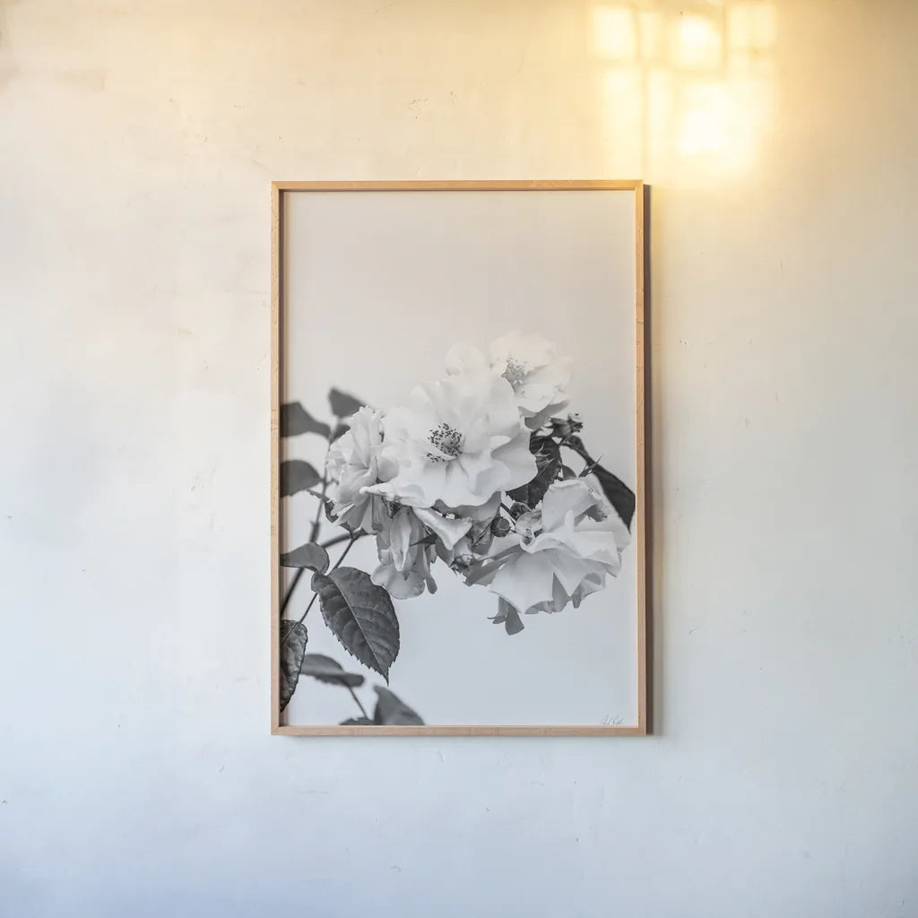 White Rose III BW by Deborah Revell. shown as a paper print in a natural frame. Available as a archival giclee rolled canvas, fine art paper, or poster print. SKU 92614h.