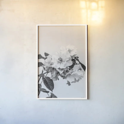 White Rose III BW by Deborah Revell. shown as a paper print in a white frame. Available as a archival giclee rolled canvas, fine art paper, or poster print. SKU 92614h.