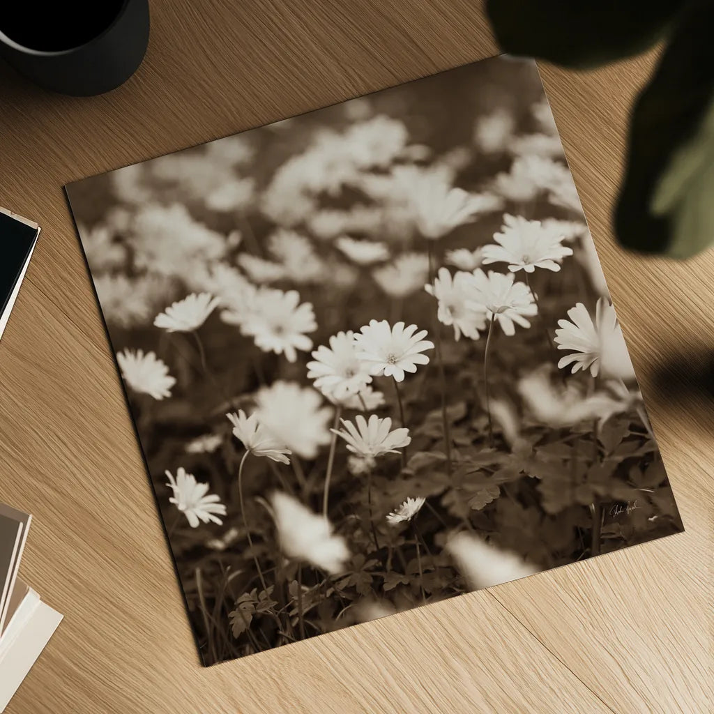 Wild Daisies by Deborah Revell. Shown as a detailed flat fine art print, highlighting archival giclee quality. Available as an archival giclee rolled canvas, fine art paper, or poster print. SKU 96826a.