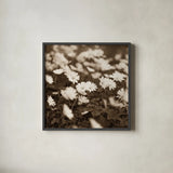 Wild Daisies by Deborah Revell. Shown in a sleek black glass frame for a contemporary gallery look. Available as an archival giclee rolled canvas, fine art paper, or poster print. SKU 96826a.