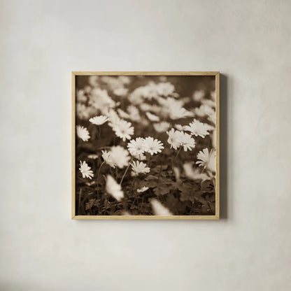 Wild Daisies by Deborah Revell. Shown in a natural wood glass frame for a timeless modern aesthetic. Available as an archival giclee rolled canvas, fine art paper, or poster print. SKU 96826a.