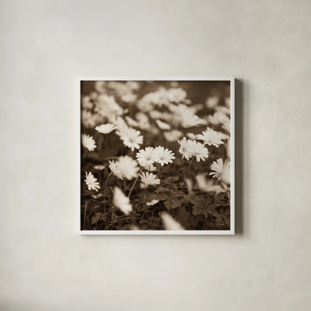 Wild Daisies by Deborah Revell. Shown in a crisp white glass frame for a clean and minimalist style. Available as an archival giclee rolled canvas, fine art paper, or poster print. SKU 96826a.