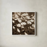 Wild Daisies by Deborah Revell. Shown in a crisp white glass frame for a clean and minimalist style. Available as an archival giclee rolled canvas, fine art paper, or poster print. SKU 96826a.