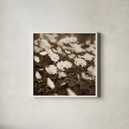 Wild Daisies by Deborah Revell. Shown in a crisp white glass frame for a clean and minimalist style. Available as an archival giclee rolled canvas, fine art paper, or poster print. SKU 96826a.
