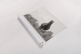 Wild Dartmoor Pony by Deborah Revell. shown as a rolled paper print. Available as archival giclee rolled canvas, fine art paper, or poster print. SKU 94289i.