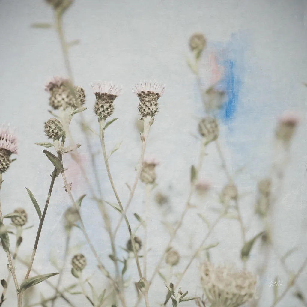 Wild Flowers I by Deborah Revell. SKU 91252a. Archival Giclee Fine art print for wall decor.