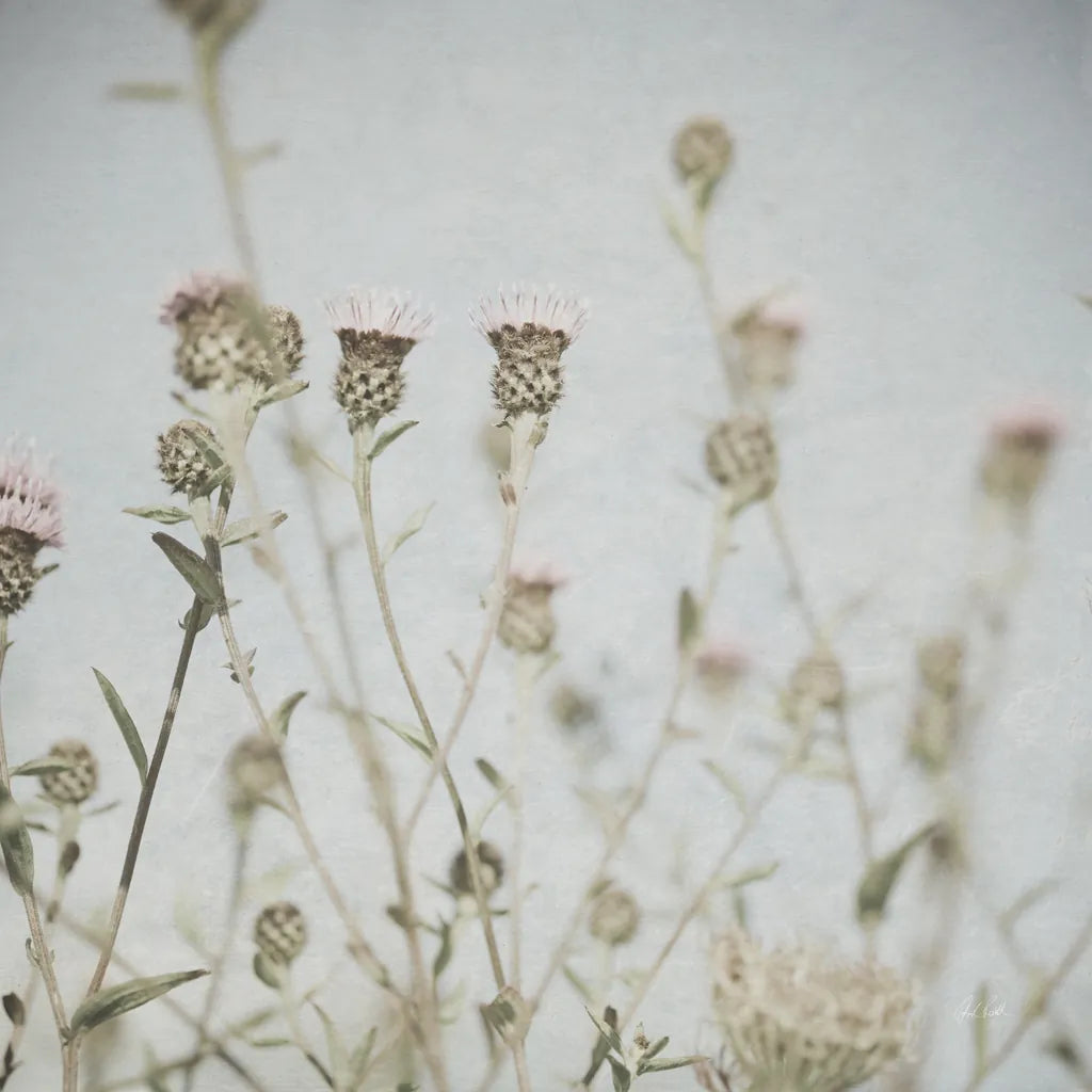 Wild Flowers I No Texture by Deborah Revell. SKU 91916a. Archival Giclee Fine art print for wall decor.