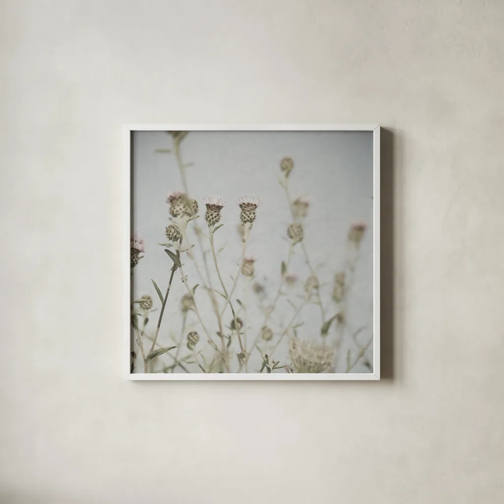 Wild Flowers I No Texture by Deborah Revell. Shown in a crisp white glass frame for a clean and minimalist style. Available as an archival giclee rolled canvas, fine art paper, or poster print. SKU 91916a.
