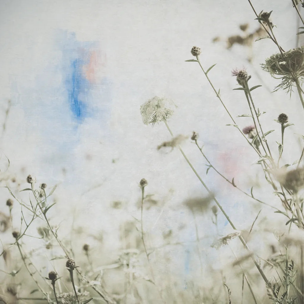 Wild Flowers II by Deborah Revell. SKU 91253a. Archival Giclee Fine art print for wall decor.