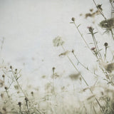 Wild Flowers II No Texture by Deborah Revell. SKU 91917a. Archival Giclee Fine art print for wall decor.