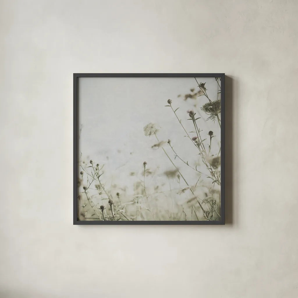 Wild Flowers II No Texture by Deborah Revell. Shown in a sleek black glass frame for a contemporary gallery look. Available as an archival giclee rolled canvas, fine art paper, or poster print. SKU 91917a.