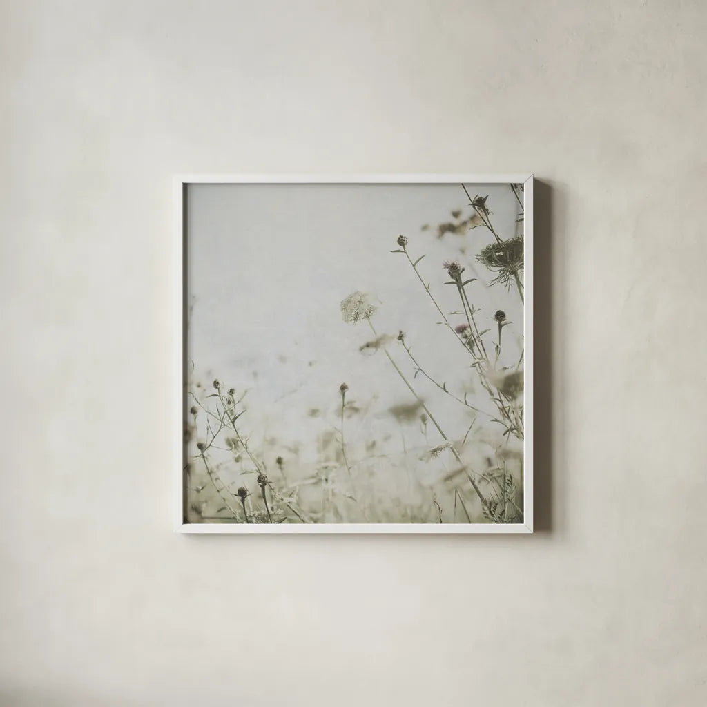 Wild Flowers II No Texture by Deborah Revell. Shown in a crisp white glass frame for a clean and minimalist style. Available as an archival giclee rolled canvas, fine art paper, or poster print. SKU 91917a.