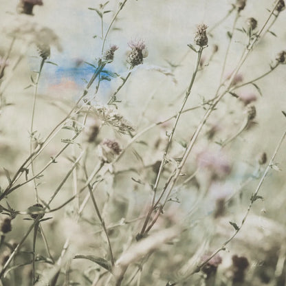 Wild Flowers III by Deborah Revell. SKU 91254a. Archival Giclee Fine art print for wall decor.
