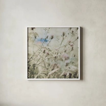 Wild Flowers III by Deborah Revell. Shown in a crisp white glass frame for a clean and minimalist style. Available as an archival giclee rolled canvas, fine art paper, or poster print. SKU 91254a.