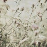 Wild Flowers III No Texture by Deborah Revell. SKU 91918a. Archival Giclee Fine art print for wall decor.