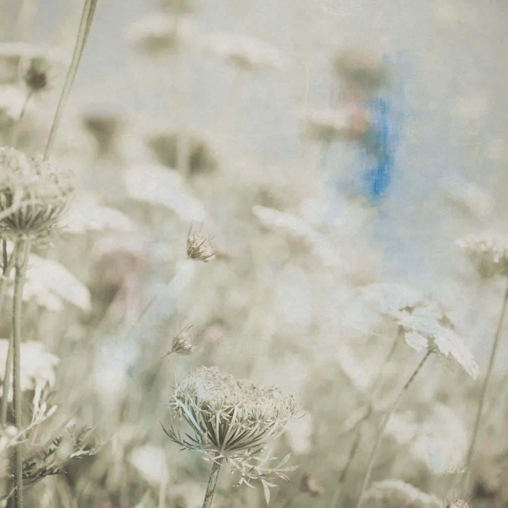 Wild Flowers IV by Deborah Revell. SKU 91255a. Archival Giclee Fine art print for wall decor.