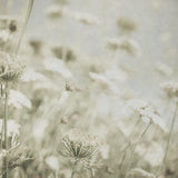 Wild Flowers IV No Texture by Deborah Revell. SKU 91919a. Archival Giclee Fine art print for wall decor.