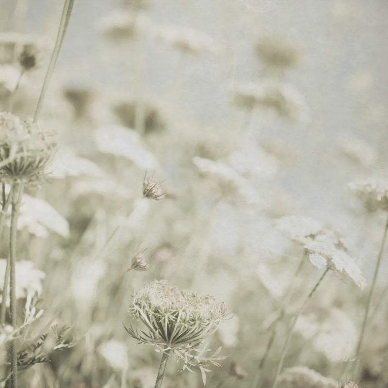 Wild Flowers IV No Texture by Deborah Revell. SKU 91919a. Archival Giclee Fine art print for wall decor.