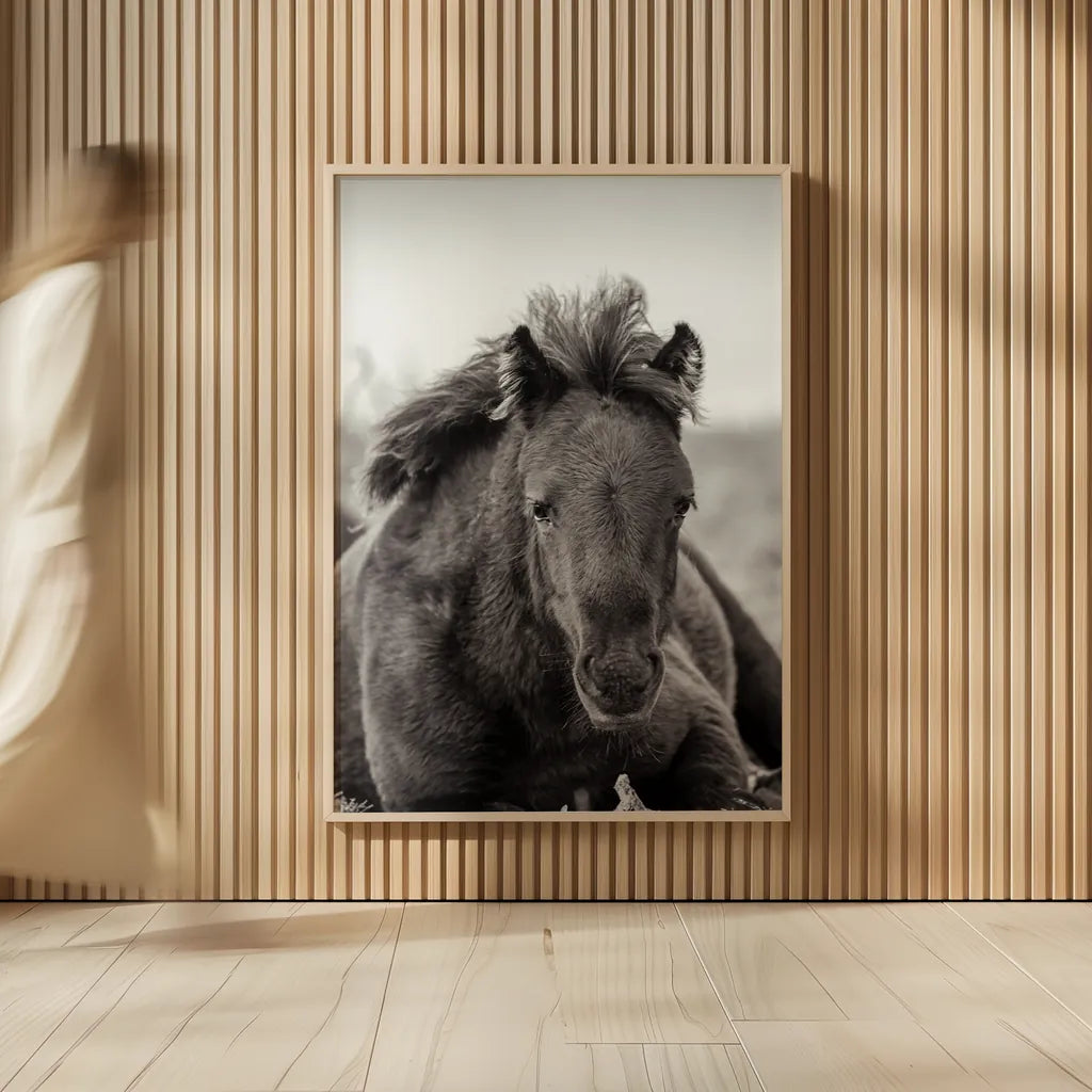 Wild Foal by Deborah Revell. shown as over sized large wall art. Available as an archival giclee rolled canvas, fine art paper, or poster print. SKU 94290h.