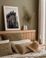 Wild Foal by Deborah Revell. shown as a paper print in a natural frame. Available as a archival giclee rolled canvas, fine art paper, or poster print. SKU 94290h.