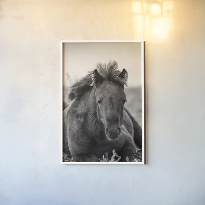 Wild Foal by Deborah Revell. shown as a paper print in a white frame. Available as a archival giclee rolled canvas, fine art paper, or poster print. SKU 94290h.