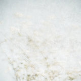 Wild Grass Impressions by Deborah Revell. SKU 98514a. Archival Giclee Fine art print for wall decor.