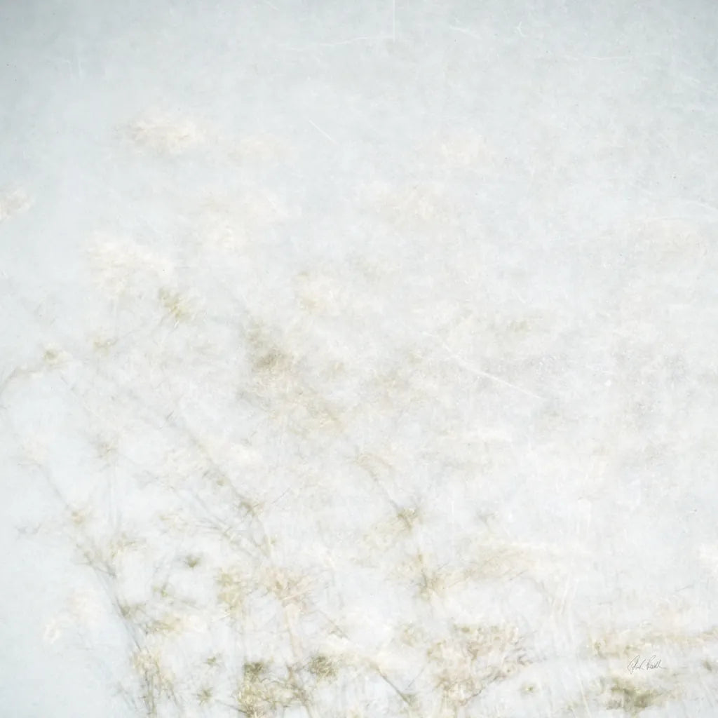 Wild Grass Impressions by Deborah Revell. SKU 98514a. Archival Giclee Fine art print for wall decor.