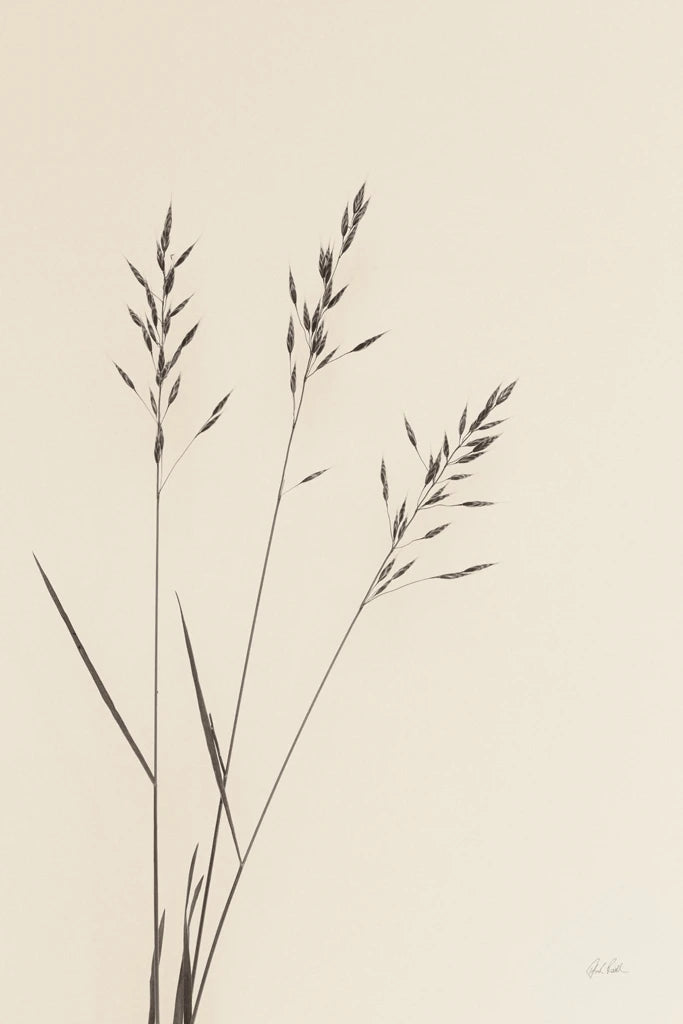 Wild Oats I by Deborah Revell