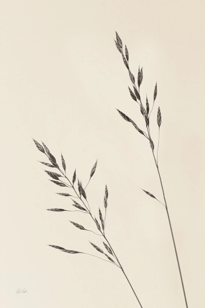 Wild Oats II by Deborah Revell