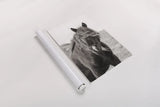 Wild Pony by Deborah Revell. shown as a rolled paper print. Available as archival giclee rolled canvas, fine art paper, or poster print. SKU 94291h.