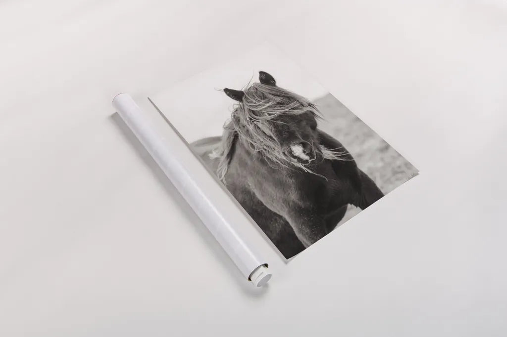 Wild Pony by Deborah Revell. shown as a rolled paper print. Available as archival giclee rolled canvas, fine art paper, or poster print. SKU 94291h.