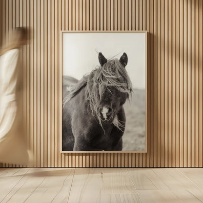 Wild Pony by Deborah Revell. shown as over sized large wall art. Available as an archival giclee rolled canvas, fine art paper, or poster print. SKU 94291h.