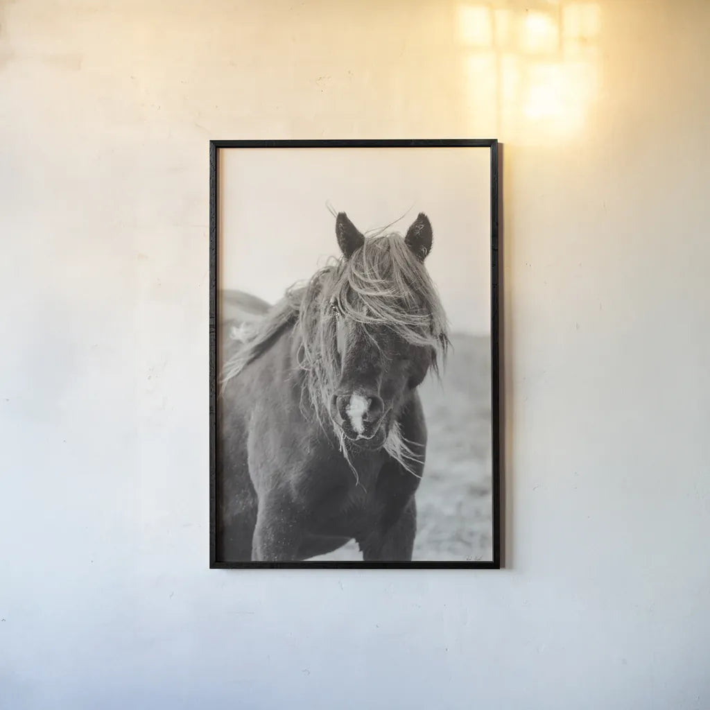 Wild Pony by Deborah Revell. shown as a paper print in a black flame. Available as a archival giclee rolled canvas, fine art paper, or poster print. SKU 94291h.