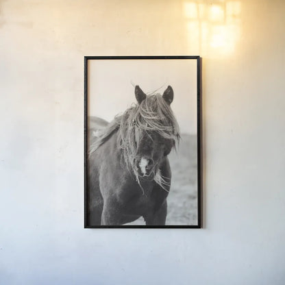 Wild Pony by Deborah Revell. shown as a paper print in a black flame. Available as a archival giclee rolled canvas, fine art paper, or poster print. SKU 94291h.