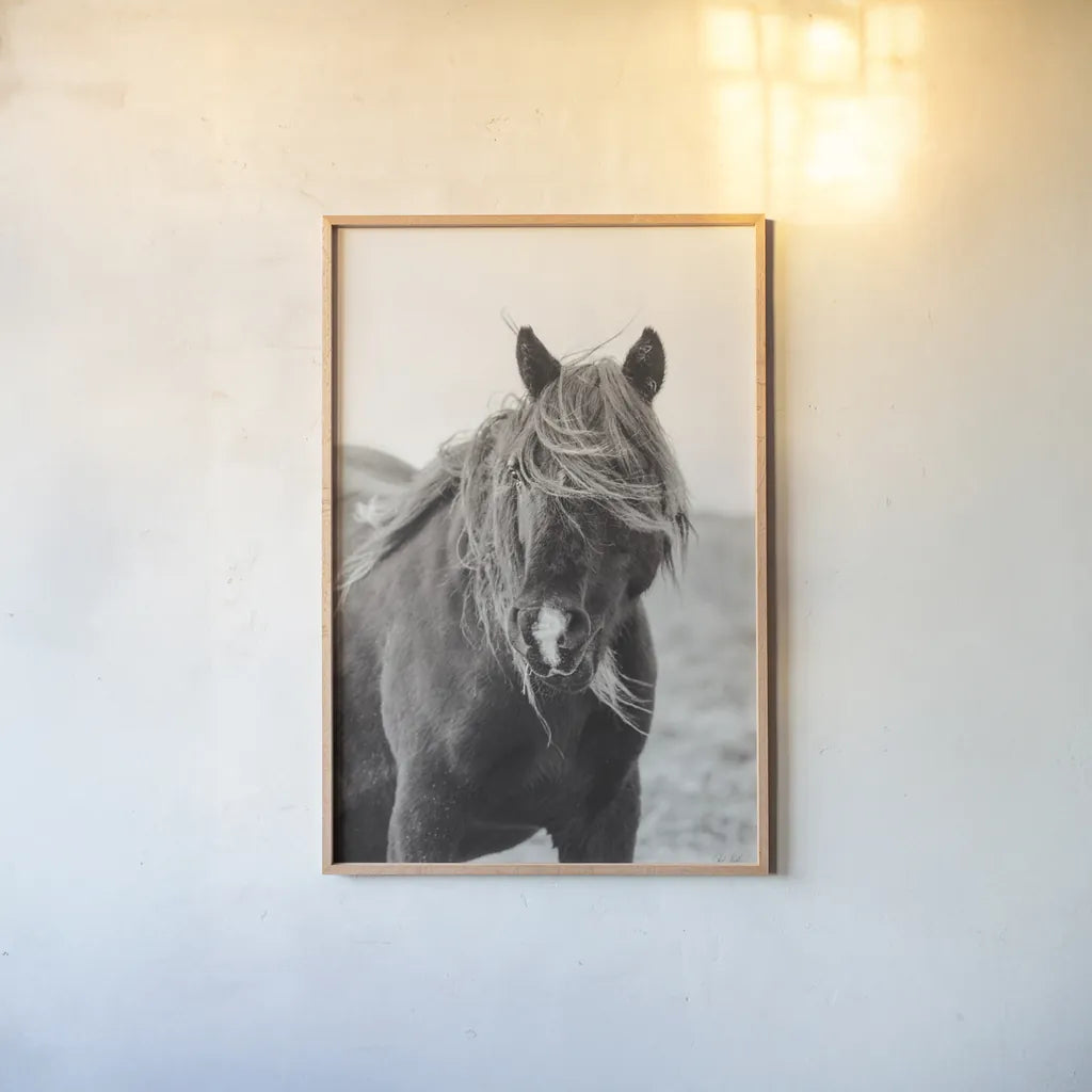 Wild Pony by Deborah Revell. shown as a paper print in a natural frame. Available as a archival giclee rolled canvas, fine art paper, or poster print. SKU 94291h.