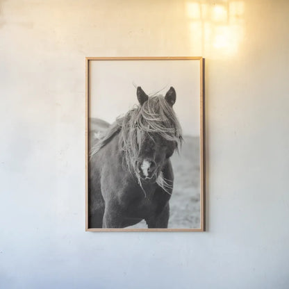 Wild Pony by Deborah Revell. shown as a paper print in a natural frame. Available as a archival giclee rolled canvas, fine art paper, or poster print. SKU 94291h.