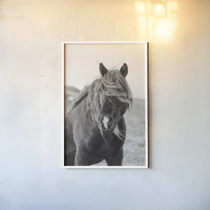 Wild Pony by Deborah Revell. shown as a paper print in a white frame. Available as a archival giclee rolled canvas, fine art paper, or poster print. SKU 94291h.