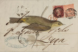 Willow Warbler by Deborah Revell. SKU 102701i. Archival Giclee Fine art print for wall decor.