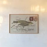 Willow Warbler by Deborah Revell. shown as a paper print in a natural frame. Available as a archival giclee rolled canvas, fine art paper, or poster print. SKU 102701i.
