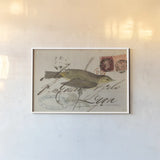 Willow Warbler by Deborah Revell. shown as a paper print in a white frame. Available as a archival giclee rolled canvas, fine art paper, or poster print. SKU 102701i.