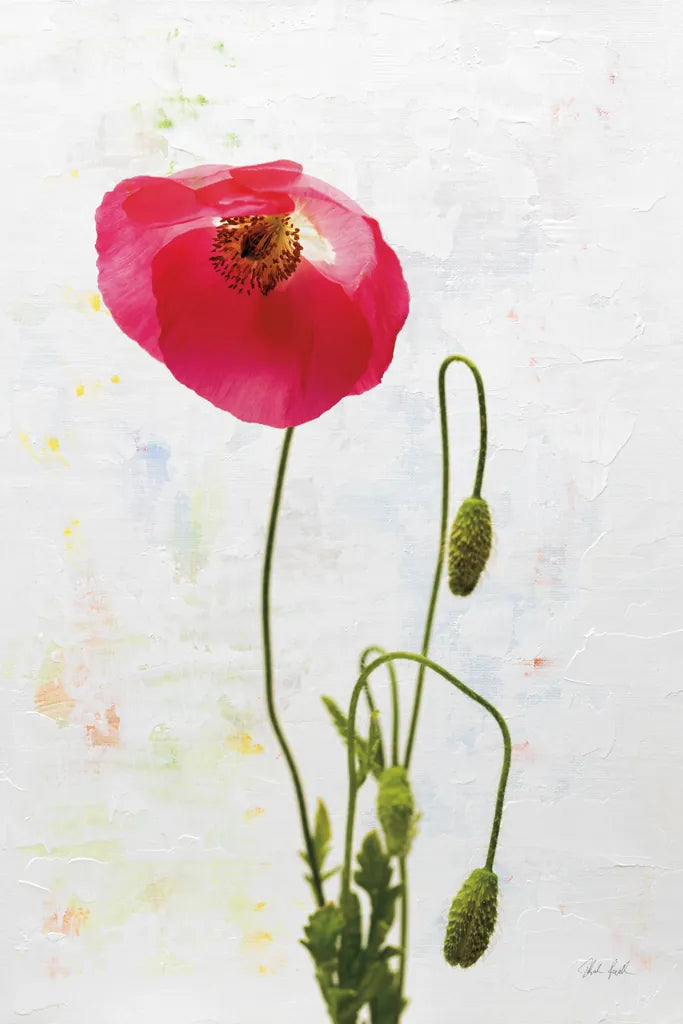 Wonderful Wildflowers I by Deborah Revell. SKU 93928h. Archival Giclee Fine art print for wall decor.