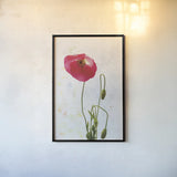 Wonderful Wildflowers I by Deborah Revell. shown as a paper print in a black flame. Available as a archival giclee rolled canvas, fine art paper, or poster print. SKU 93928h.