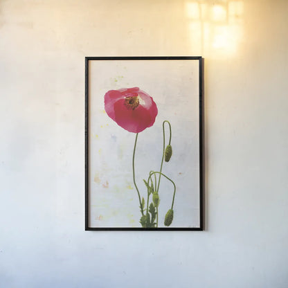 Wonderful Wildflowers I by Deborah Revell. shown as a paper print in a black flame. Available as a archival giclee rolled canvas, fine art paper, or poster print. SKU 93928h.