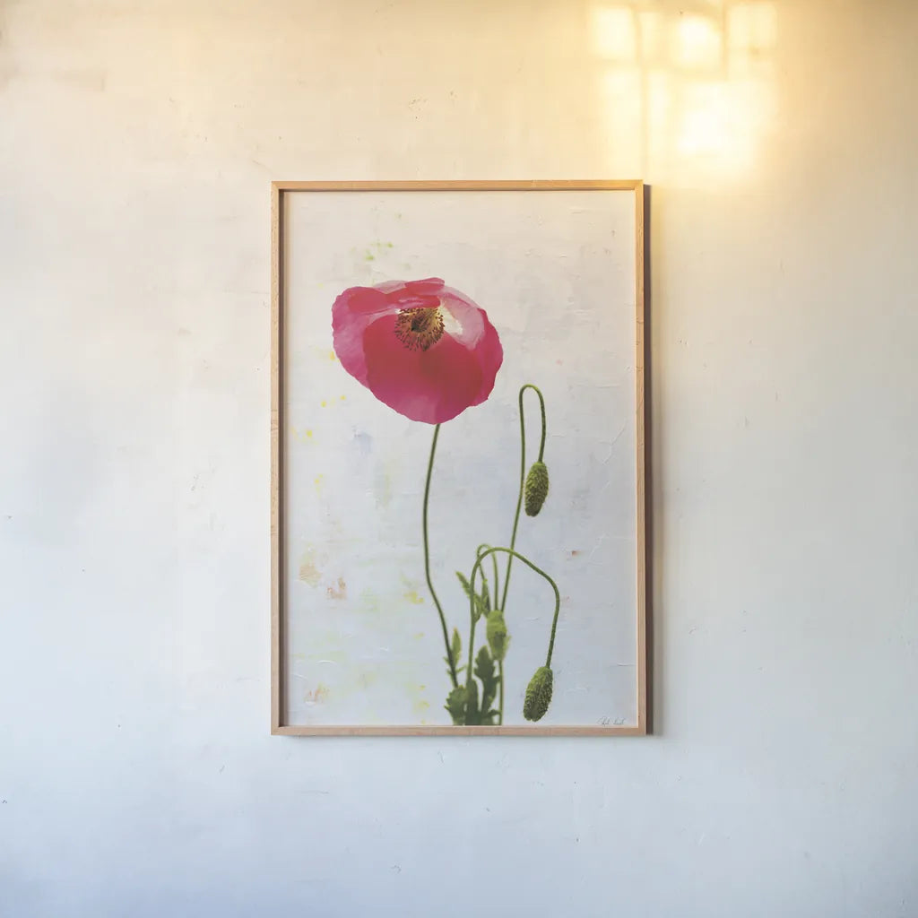 Wonderful Wildflowers I by Deborah Revell. shown as a paper print in a natural frame. Available as a archival giclee rolled canvas, fine art paper, or poster print. SKU 93928h.