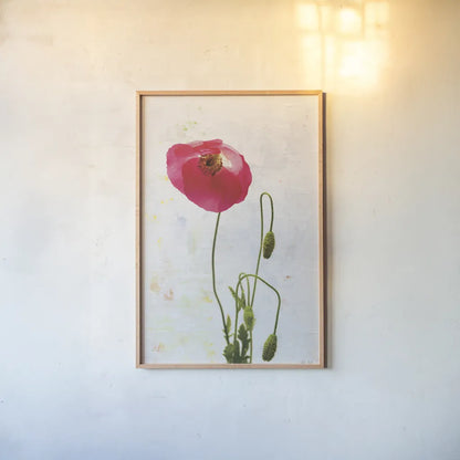 Wonderful Wildflowers I by Deborah Revell. shown as a paper print in a natural frame. Available as a archival giclee rolled canvas, fine art paper, or poster print. SKU 93928h.