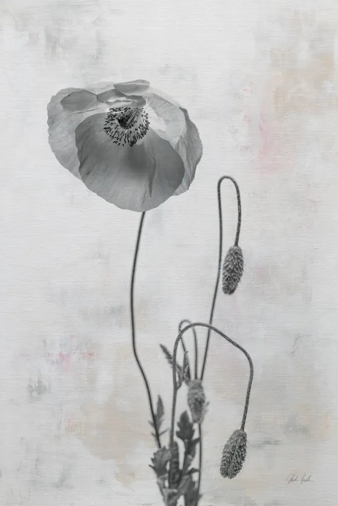 Wonderful Wildflowers I Neutral by Deborah Revell. SKU 93945h. Archival Giclee Fine art print for wall decor.