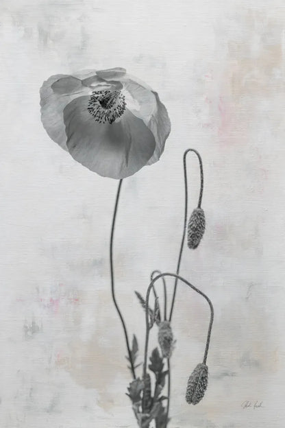 Wonderful Wildflowers I Neutral by Deborah Revell. SKU 93945h. Archival Giclee Fine art print for wall decor.