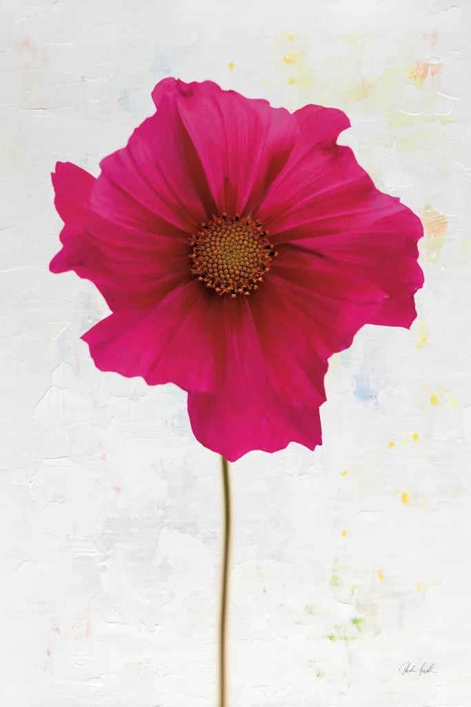 Wonderful Wildflowers II by Deborah Revell. SKU 93929h. Archival Giclee Fine art print for wall decor.