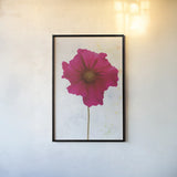 Wonderful Wildflowers II by Deborah Revell. shown as a paper print in a black flame. Available as a archival giclee rolled canvas, fine art paper, or poster print. SKU 93929h.